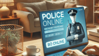 Boletim de Ocorrência Online - Representação artística