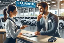 aluguel de carro- representação artística