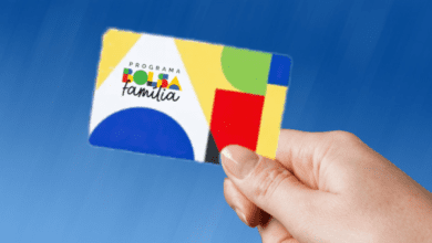 Novo Bolsa Família - Representação Artística