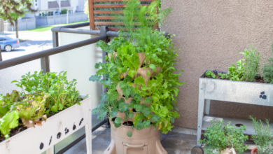 Horta em apartamento - Fonte Canva